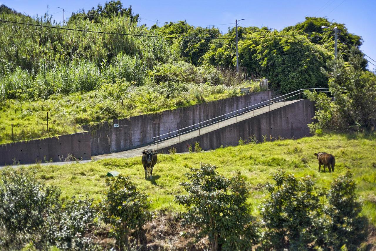 Casa Afonso Na Madeira Villa Sao Jorge  Bagian luar foto